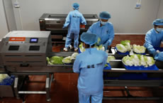 東莞央廚凈菜流水線(xiàn)運(yùn)行加工時(shí)的案例圖